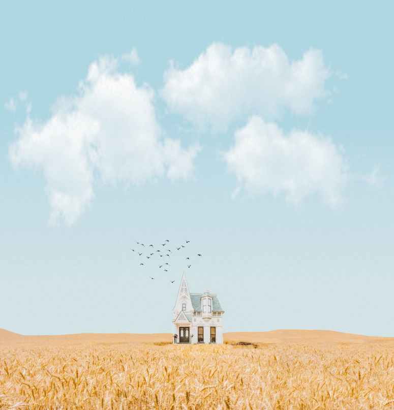 House in the middle of a field, with  birds flying above. 